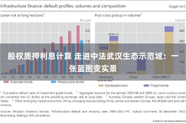 股权质押利息计算 走进中法武汉生态示范城：一张蓝图变实景