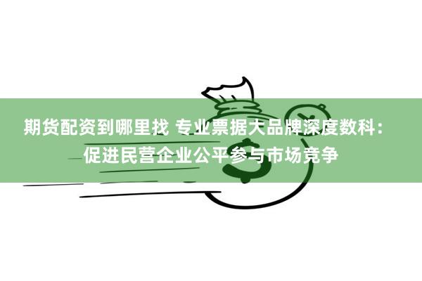 期货配资到哪里找 专业票据大品牌深度数科： 促进民营企业