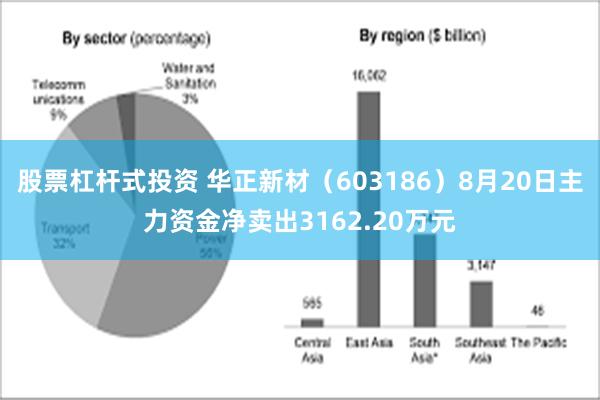 股票杠杆式投资 华正新材（603186）8月20日主力资金净卖出3162.20万元