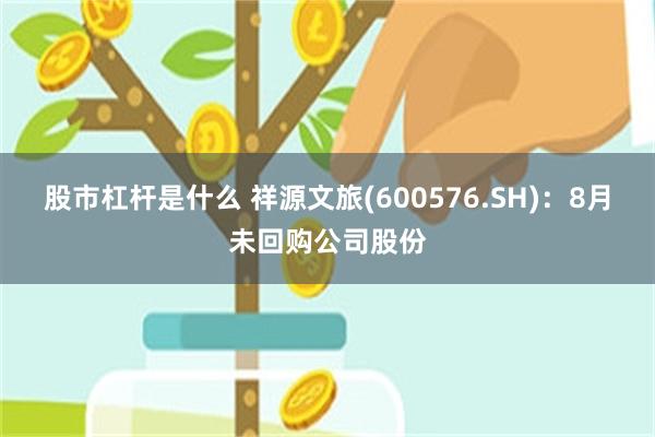 股市杠杆是什么 祥源文旅(600576.SH)：8月未回购公司股份