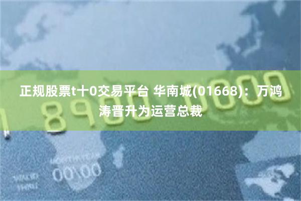 正规股票t十0交易平台 华南城(01668)：万鸿涛晋升为运营总裁