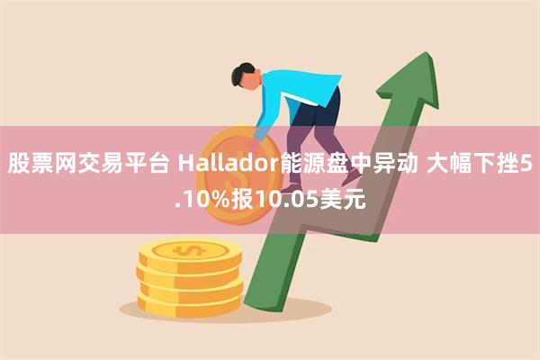 股票网交易平台 Hallador能源盘中异动 大幅下挫5.10%报10.05美元