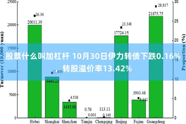 股票什么叫加杠杆 10月30日伊力转债下跌0.16%，转股溢价率13.42%