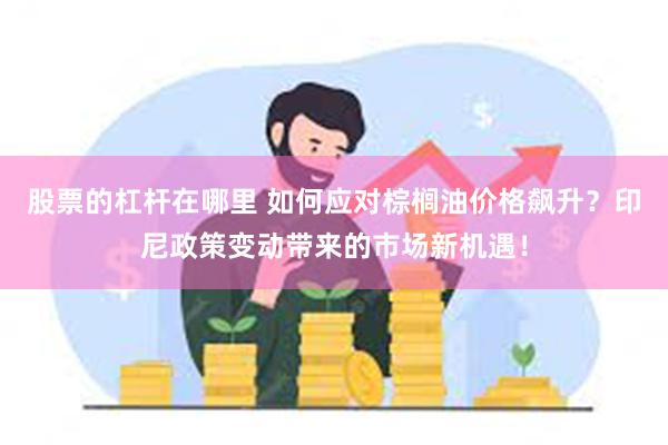 股票的杠杆在哪里 如何应对棕榈油价格飙升？印尼政策变动带来的市场新机遇！