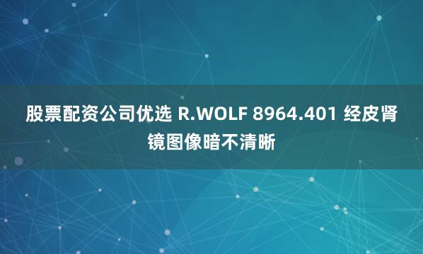 股票配资公司优选 R.WOLF 8964.401 经皮肾镜图像暗不清晰