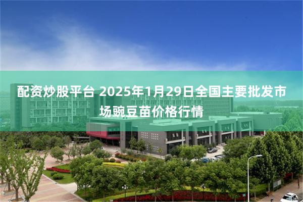 配资炒股平台 2025年1月29日全国主要批发市场豌豆苗价格行情