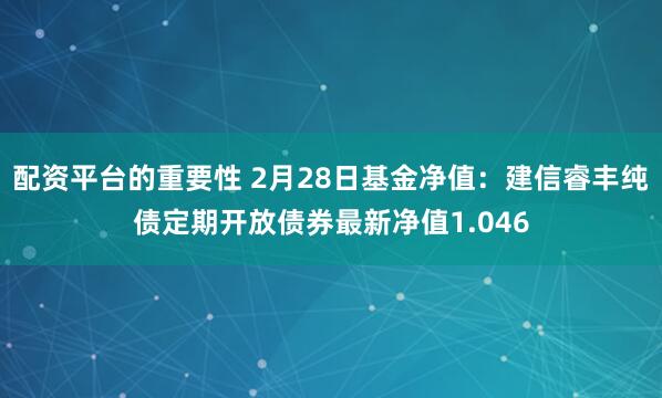 配资平台的重要性 2月28日基金净值：建信睿丰纯债定期开放债券最新净值1.046